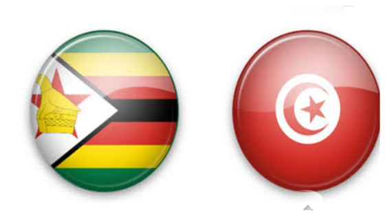 مباراة تونس اليوم ضد المنتخب الزيمبابوي في ختامية الجولة الثالثة من البطولة الأفريقية 2017